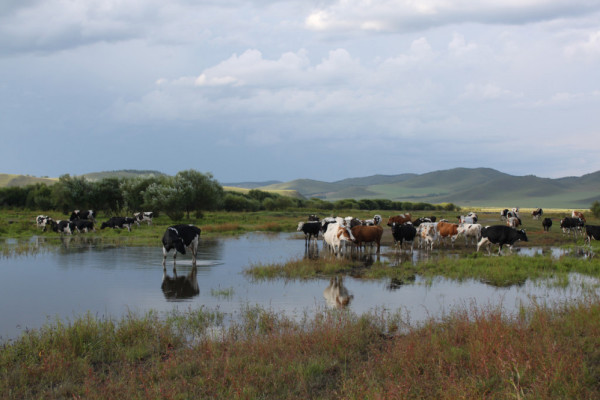 额尔古纳河右岸全文在线 wKgBm04W6CvAj0_AAAKGv0pKf4A90.jpeg?imageView2%2F2%2Fw%2F600%2Fh%2F600%2Fq%2F90