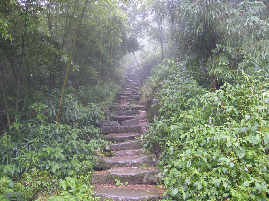 藏匿深山的会龙山庄之谜,重庆旅游攻略 - 马蜂窝