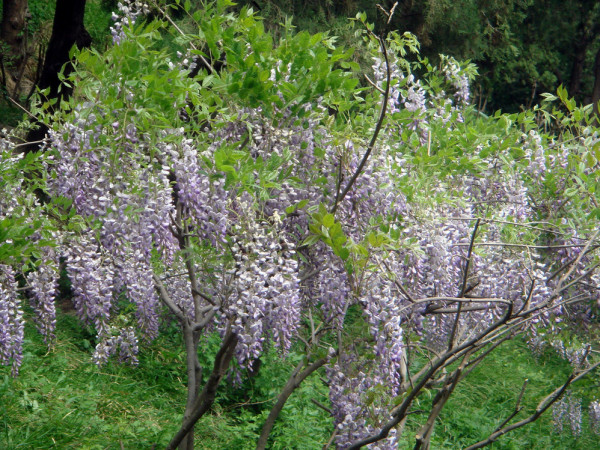 什么山旷成语_成语故事图片(3)