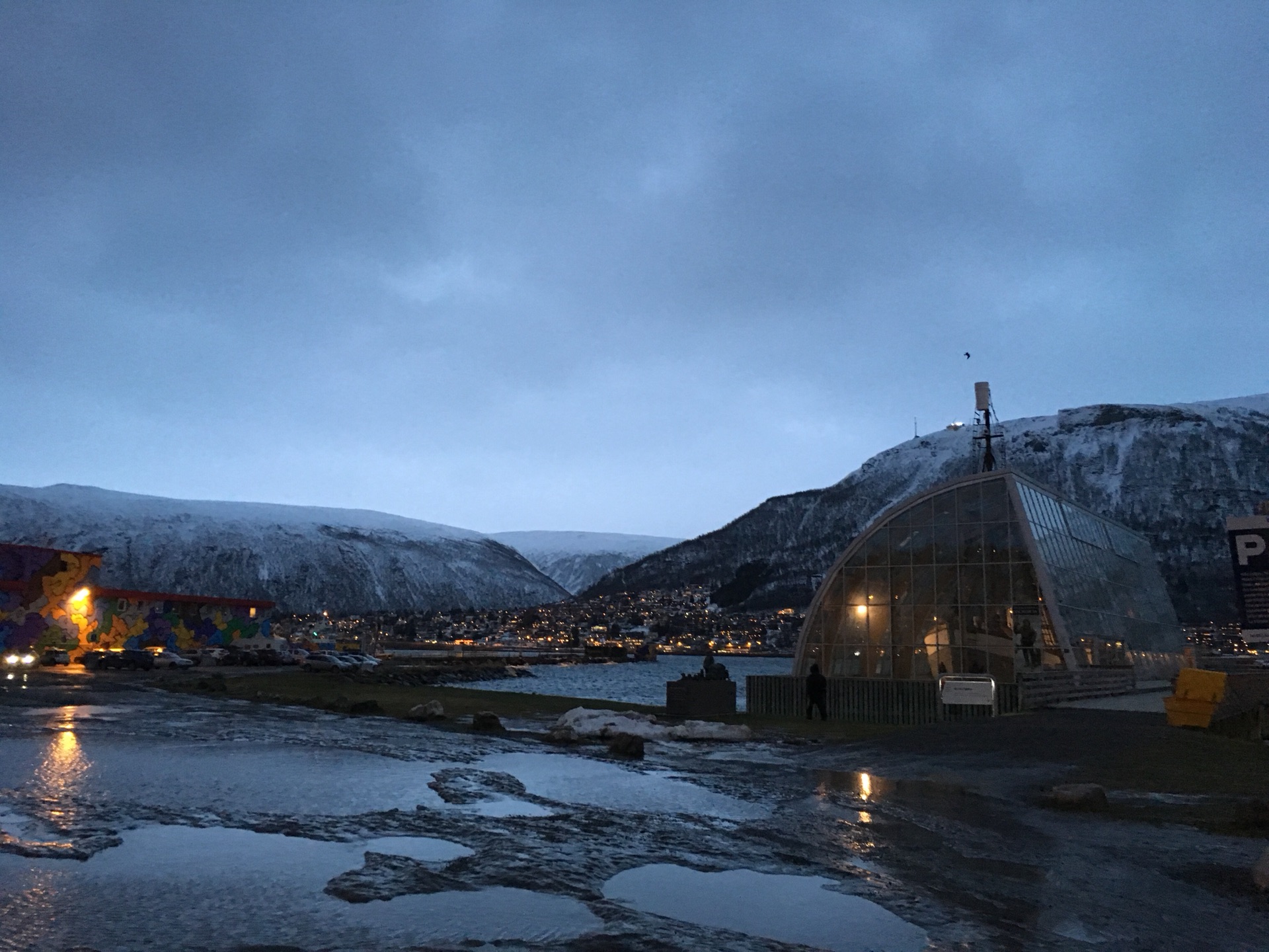 挪威北极之门tromso极夜体验虎鲸座头鲸群狗拉雪橇极光此生最难忘的