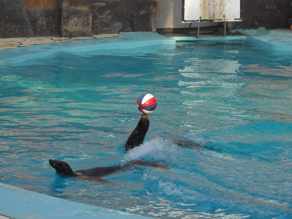 wKgBm04YBGzh8wctAAMvdgnrlrA29.jpeg?imageView2%2F2%2Fw%2F600%2Fq%2F90%7CimageMogr2%2Fstrip%2Fquality%2F90