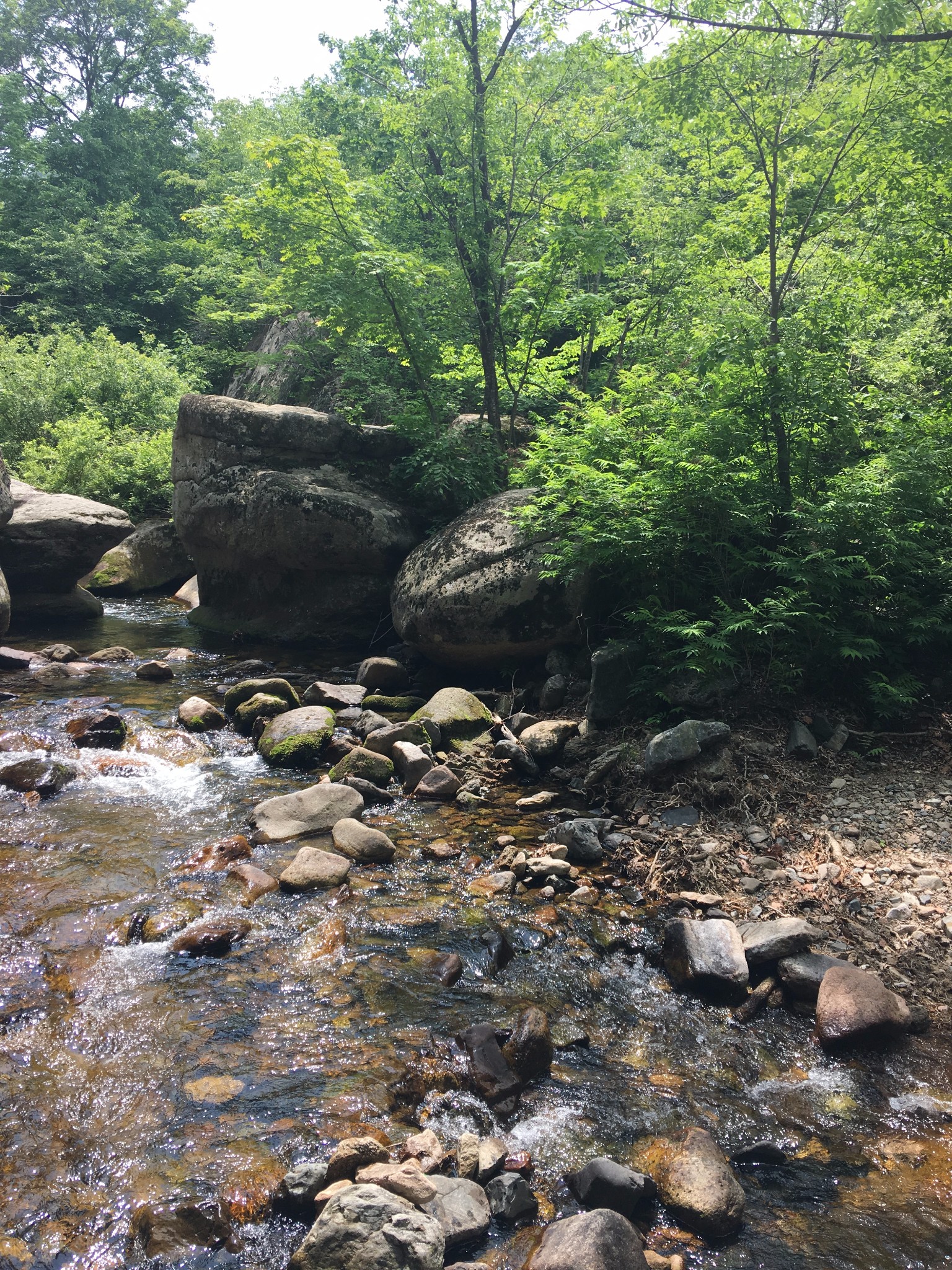 端午节假期--丹东(青山沟、天桥沟)、本溪(老边