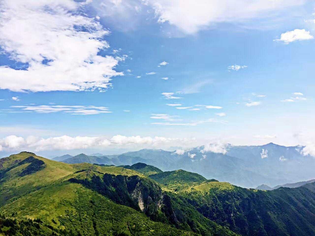 神农顶老总_神农尝百草图片(3)