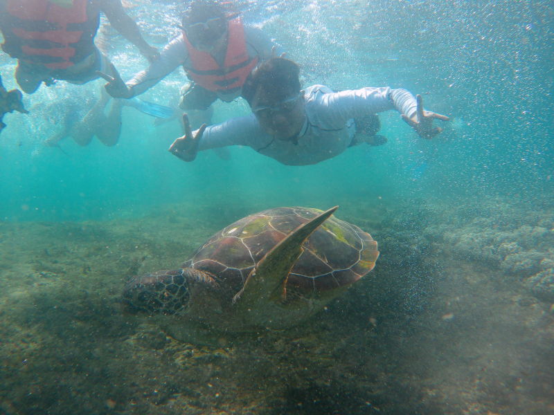 wKgBZ1iTLxCAU1avAAF3q75Vqek99.jpeg?imageView2%2F2%2Fw%2F600%2Fh%2F600%2Fq%2F90