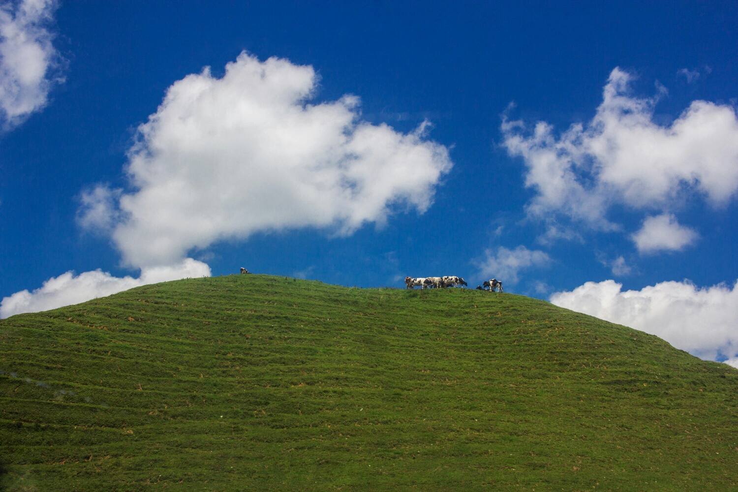 邵阳城步南山牧场「南山大草原」自由行