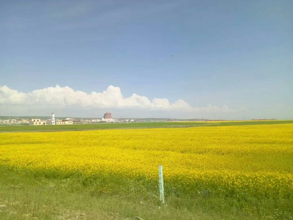 可以用什么词来形容天空 wKgBZ1mBWgCAYVWsAA6yEQcxicQ25.jpeg?imageView2%2F2%2Fw%2F600%2Fh%2F600%2Fq%2F90