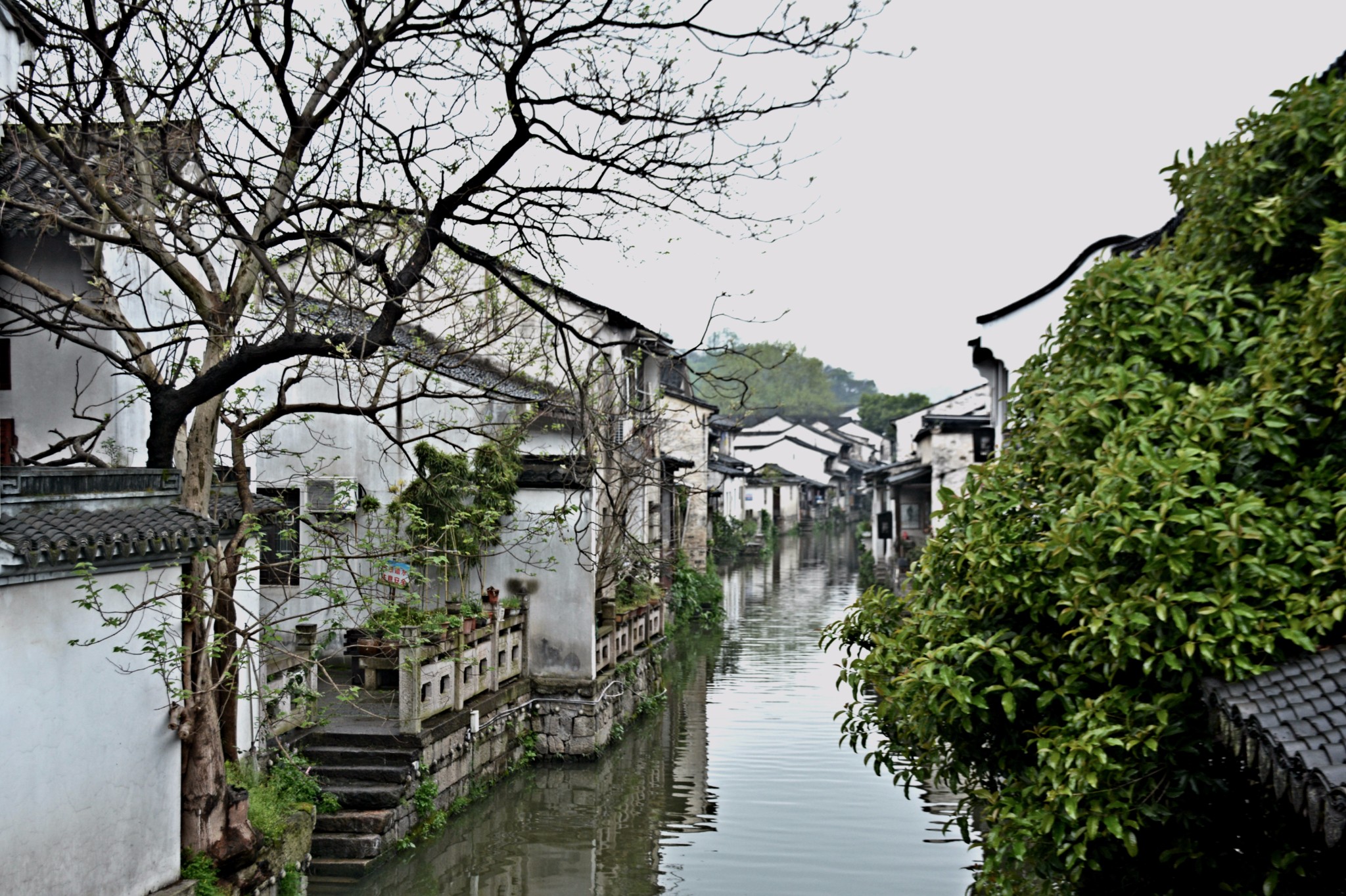 绍兴市多少人口有多少_绍兴市人民医院图片(2)