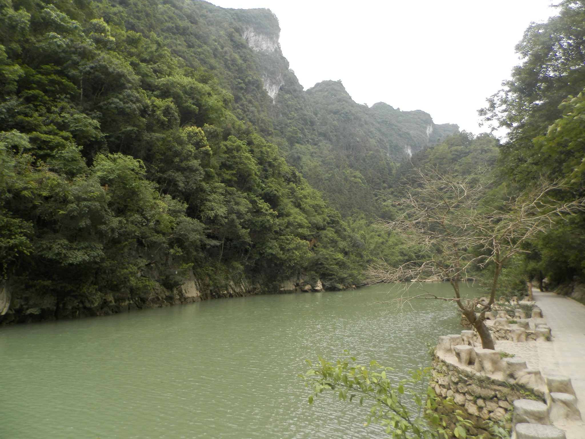 荔波县有多少人口_荔波至王蒙公路沿线的移民新村 梦柳布依族小镇(3)