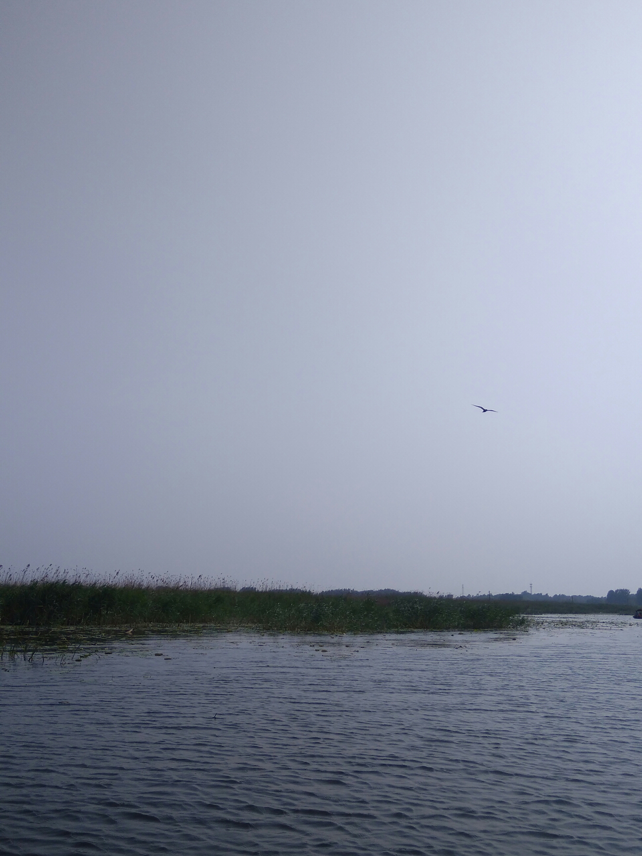 县里GDP高对市里有帮助吗_帮助别人的图片