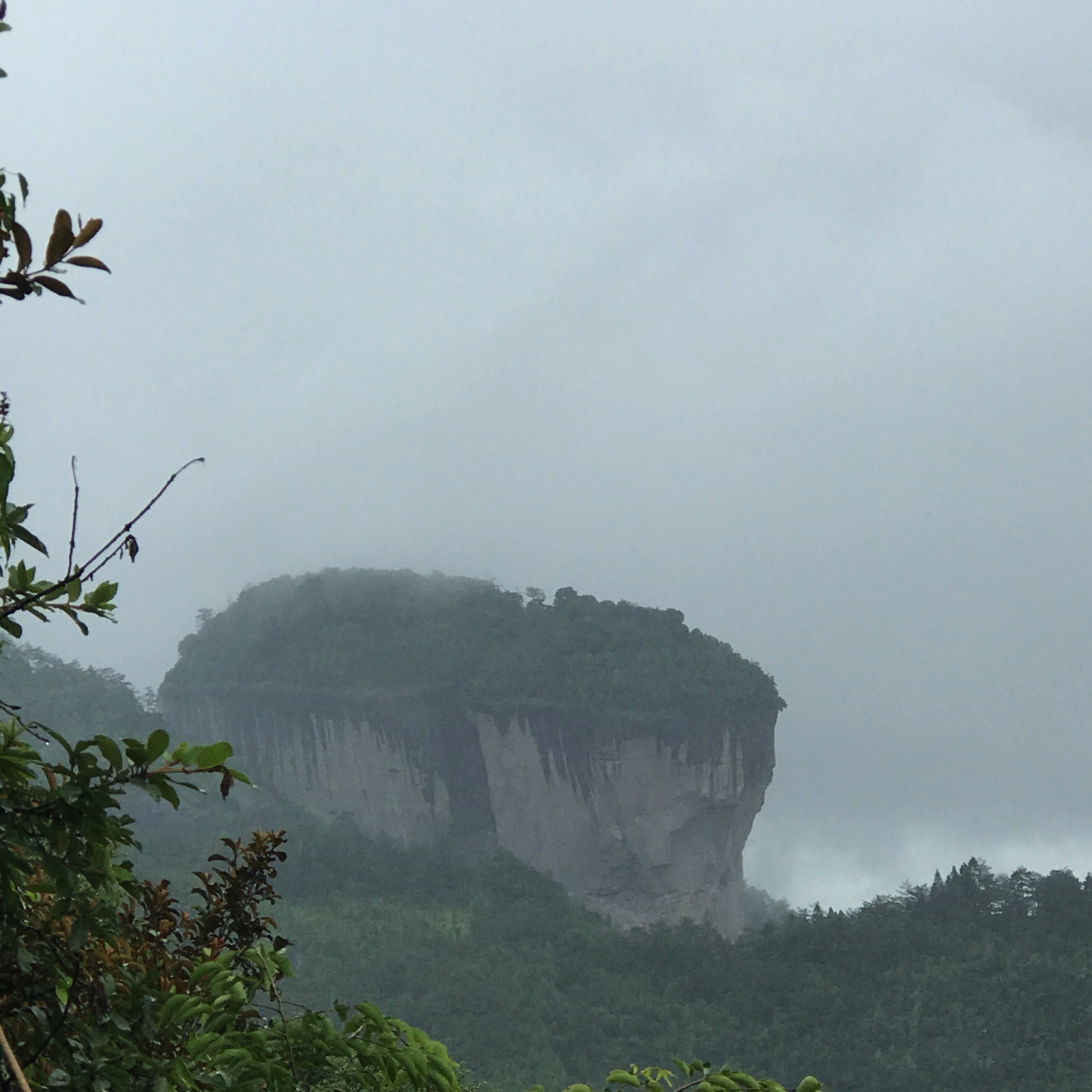 武夷山多少人口_寻慢 他们融入武夷山的新生活(2)