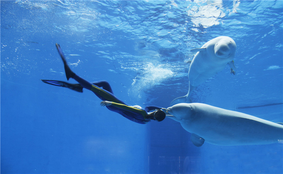 wKgBZ1l27HGAArx8AAI79Rm1h5A13.jpeg?imageView2%2F2%2Fw%2F680%2Fq%2F90%7CimageMogr2%2Fstrip%2Fquality%2F90