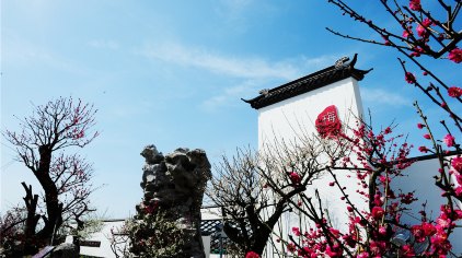 盐城梅花湾门票