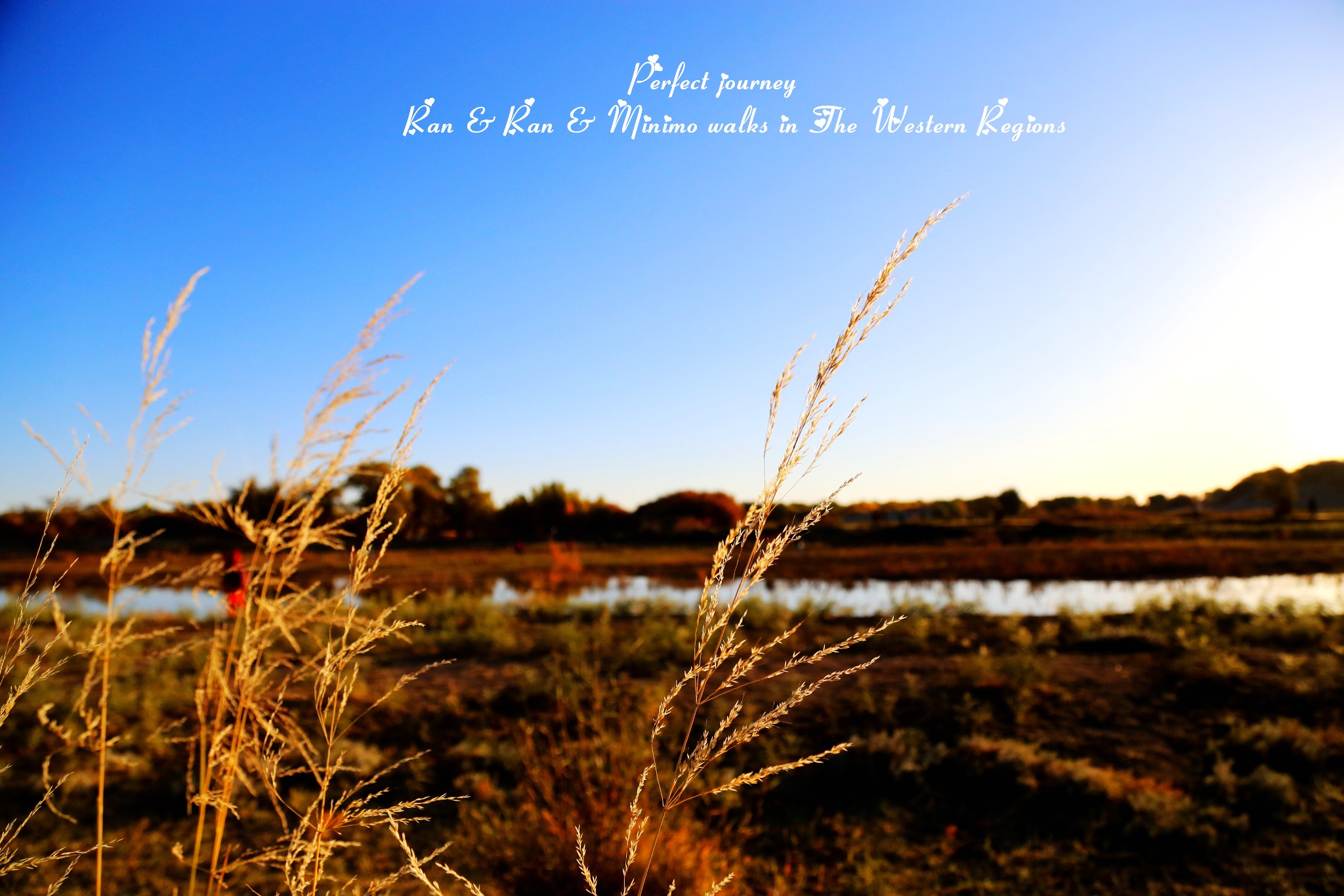 wKgBZ1nsvsuAdT1uAAcGCC6e90c84.jpeg?imageView2%2F2%2Fw%2F600%2Fh%2F600%2Fq%2F90