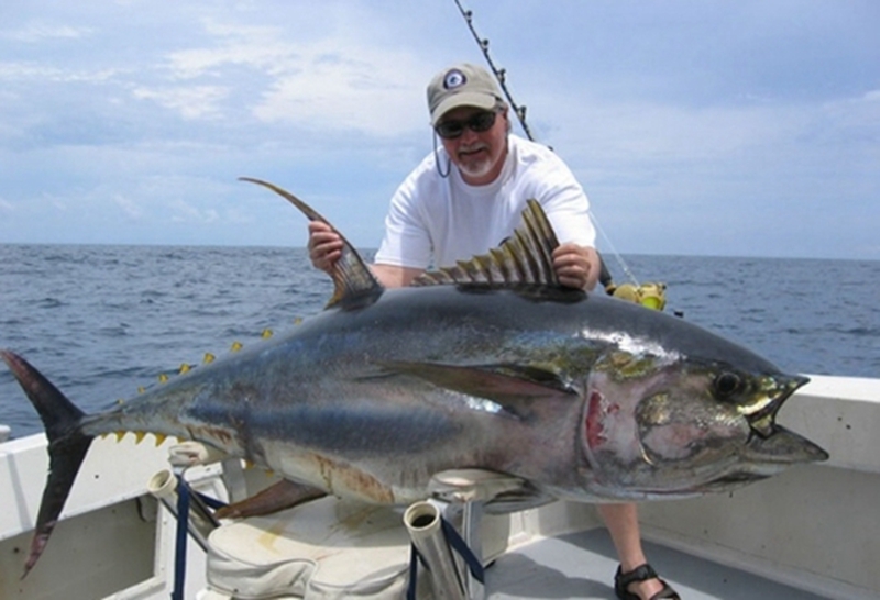 蓝色的鱼可不可以吃 wKgBZ1kYDneAX3kLAAOP8KOSIL075.jpeg