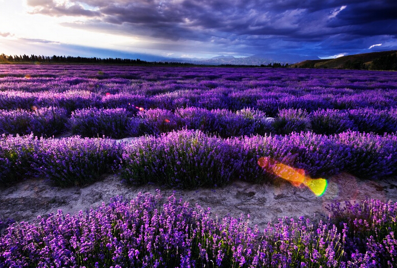 wKgBZ1kfnoKADjcZAAr00Vy-TfI78.jpeg?imageView2%2F2%2Fw%2F600%2Fq%2F90%7CimageMogr2%2Fstrip%2Fquality%2F90