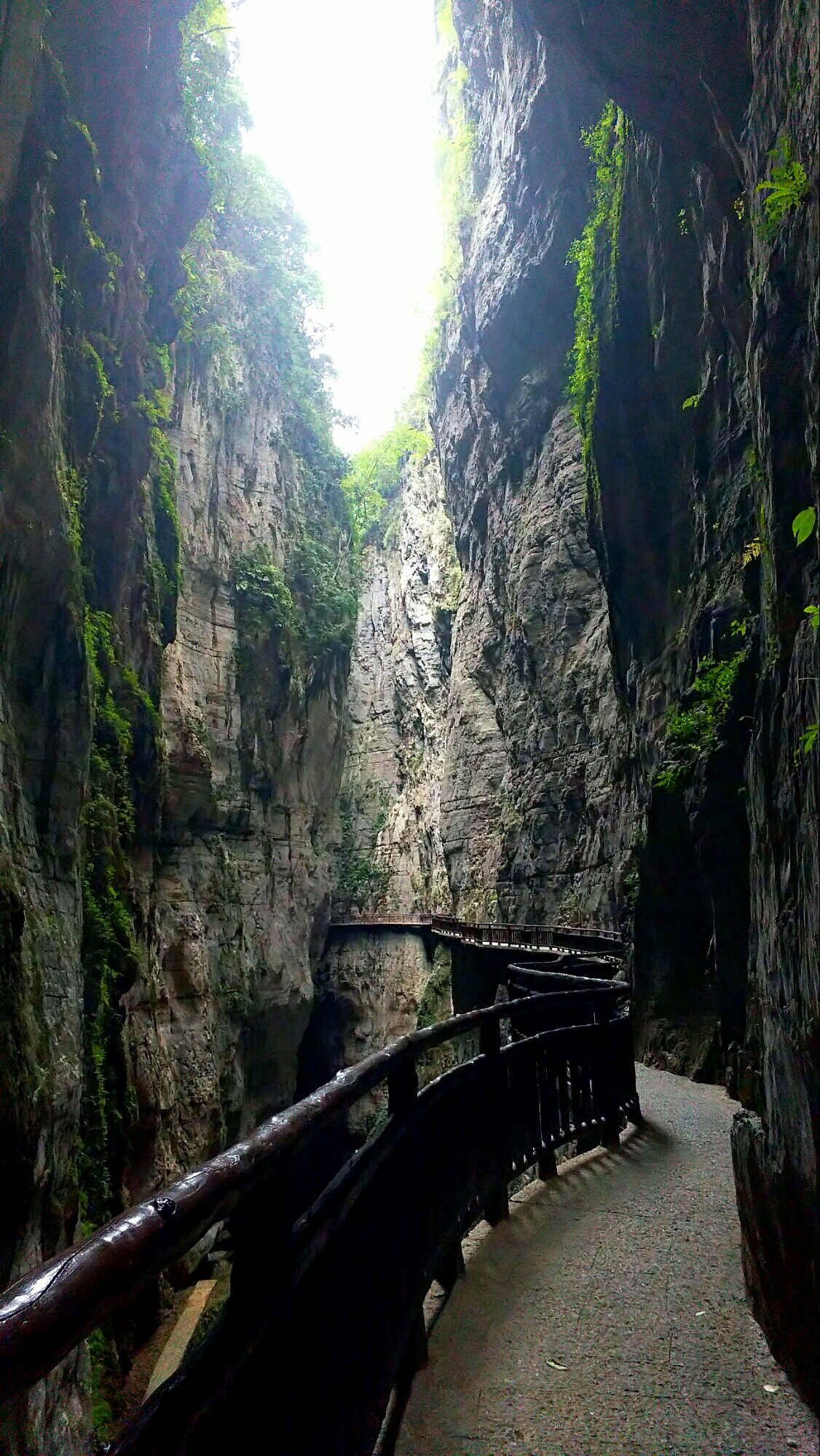 重庆涪陵武陵山