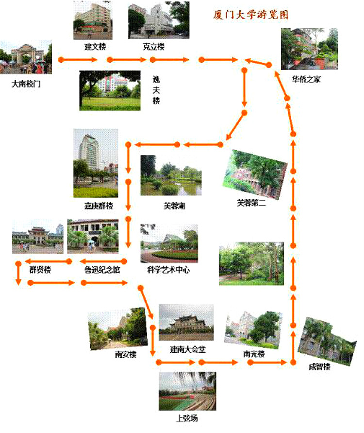 1.厦门大学浏览分布图