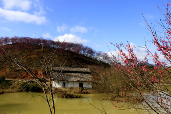 汪峪街道风景