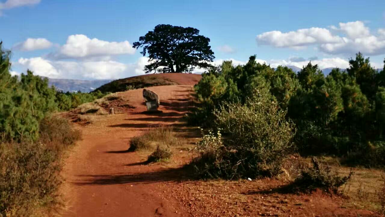 wKgBZ1i7teOAOFNjAAcgh6862lg26.jpeg?imageView2%2F2%2Fw%2F600%2Fh%2F600%2Fq%2F90