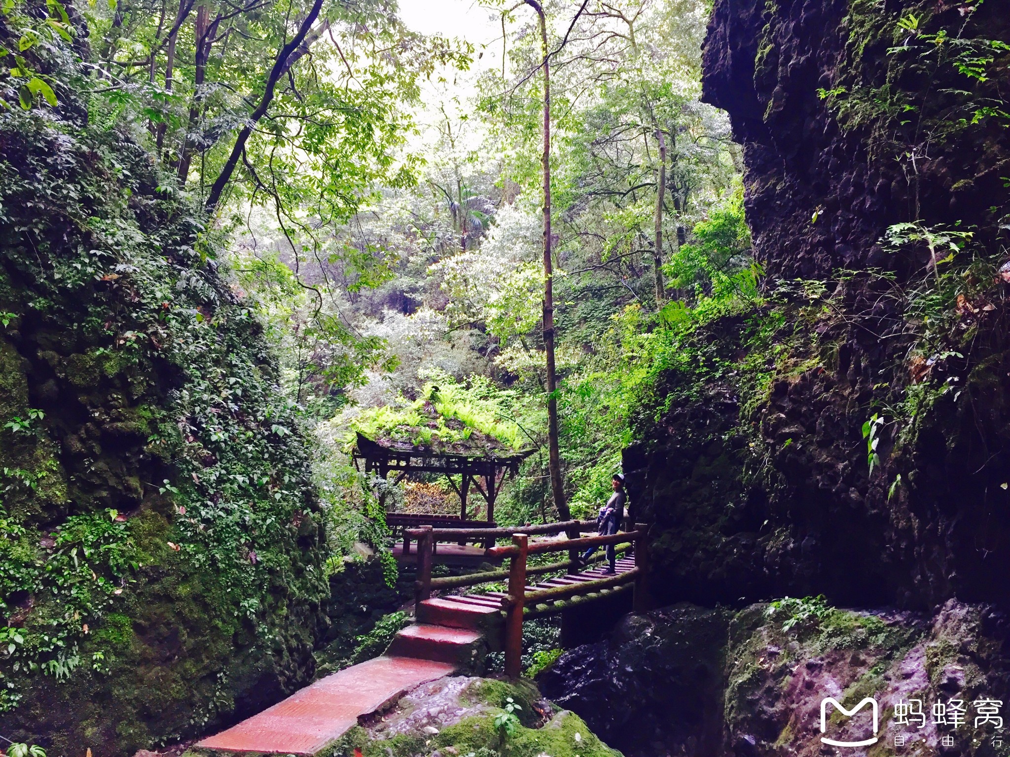 青城山后山
