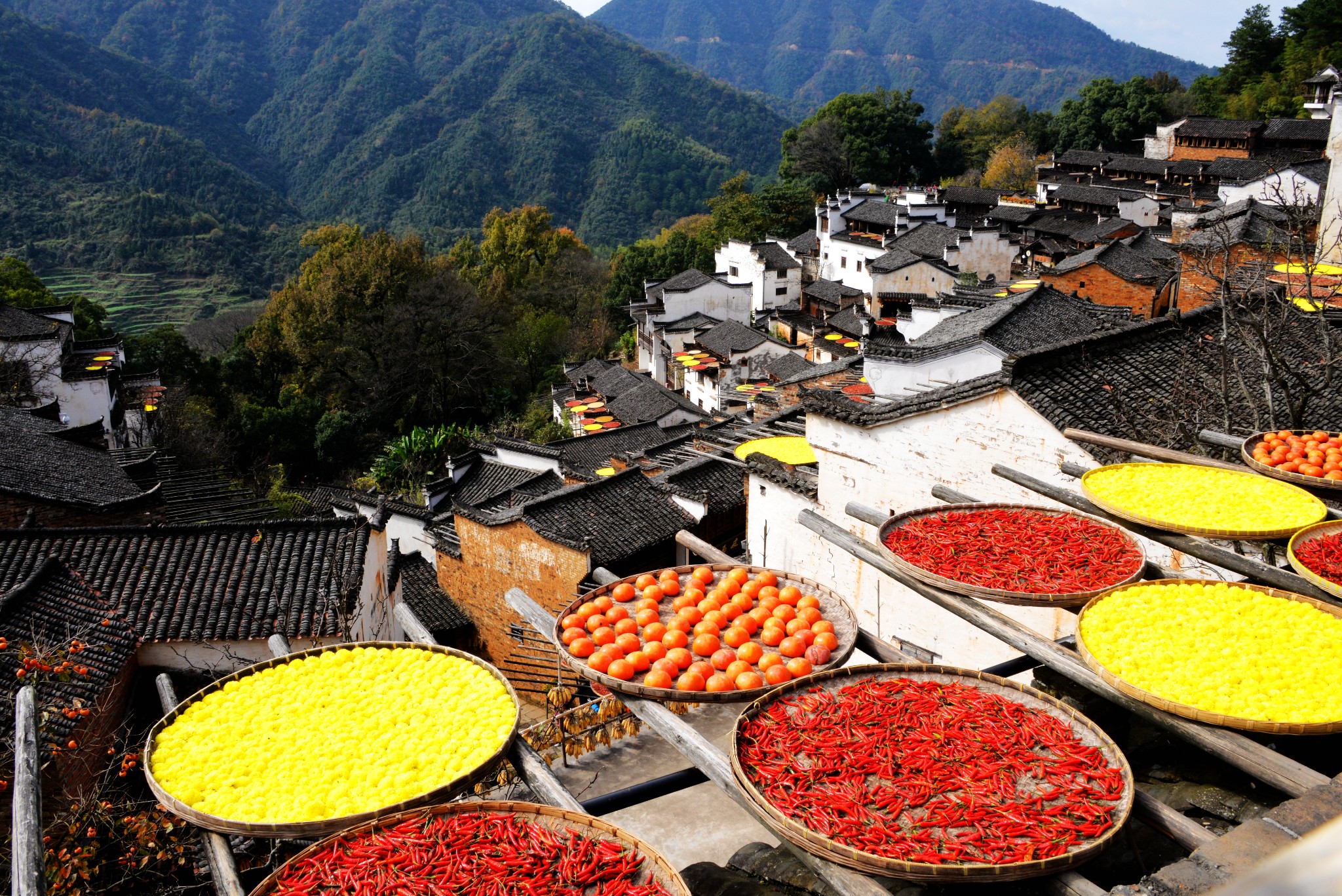 wKgBZ1oZe96ATCpiABIK7Bhp5Ao10.jpeg?imageView2%2F2%2Fw%2F680%2Fq%2F90%7CimageMogr2%2Fstrip%2Fquality%2F90