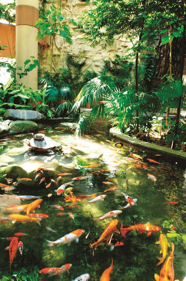 去吉隆坡有哪些值得去的地方?