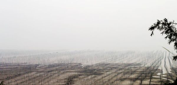 如何到达霞浦景点 wKgBZ1h8SVeAbZFBAADjfi0F1Bo41.jpeg?imageView2%2F2%2Fw%2F600%2Fh%2F600%2Fq%2F90