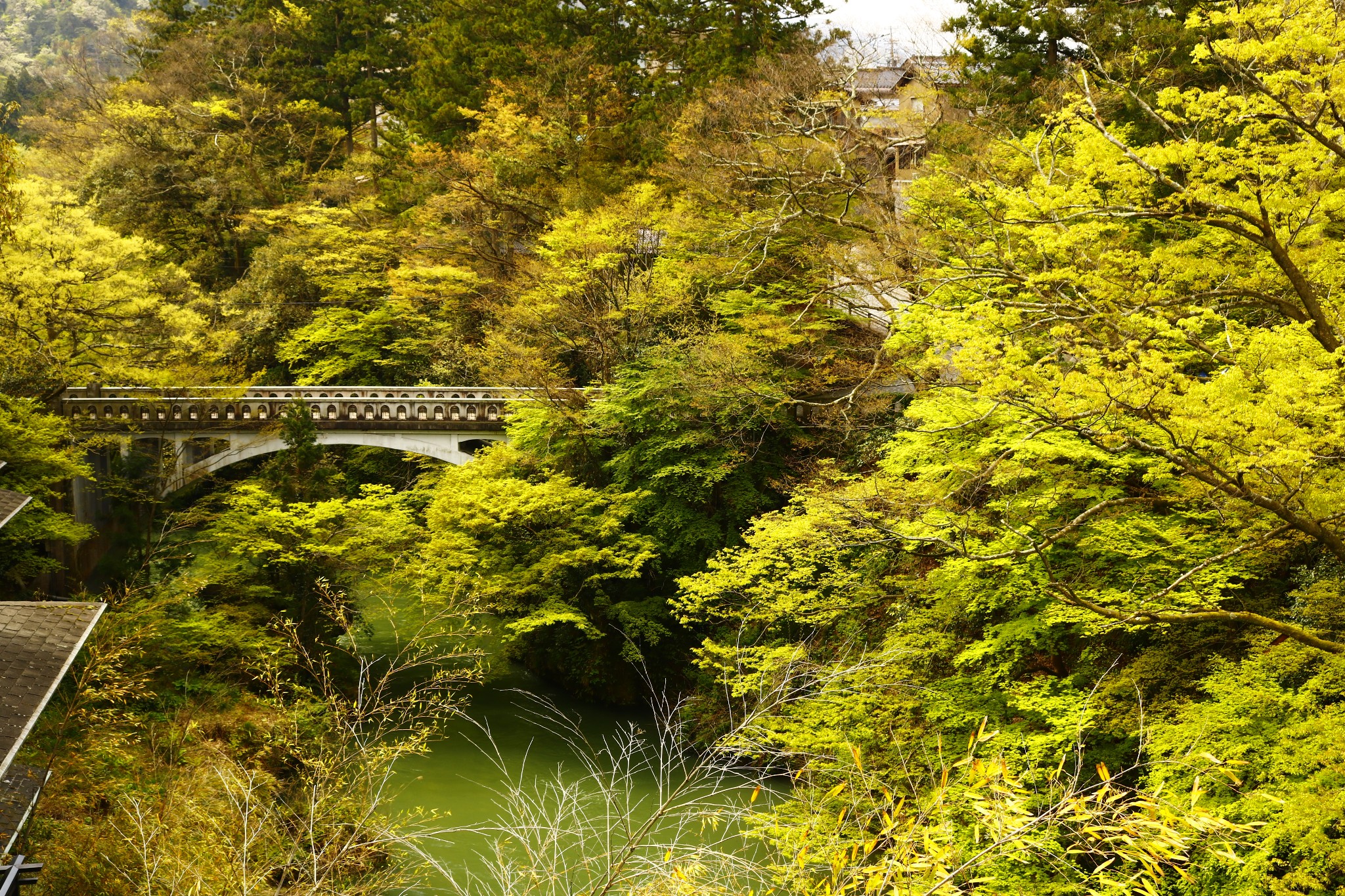 石川人口_石川恋(3)