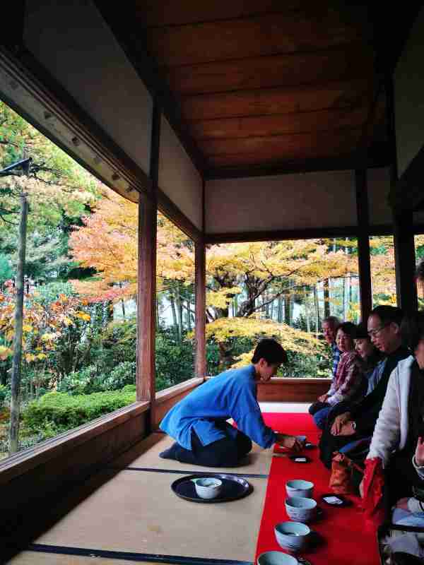 2016年11月日本红叶狩六日自由行游记(含攻略)图片