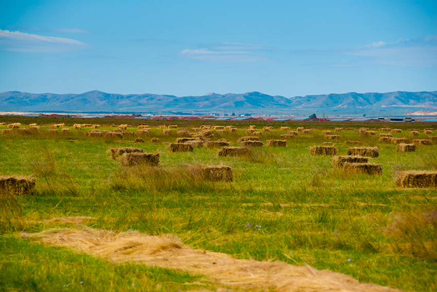 内蒙古正蓝旗和多伦自驾导航路线