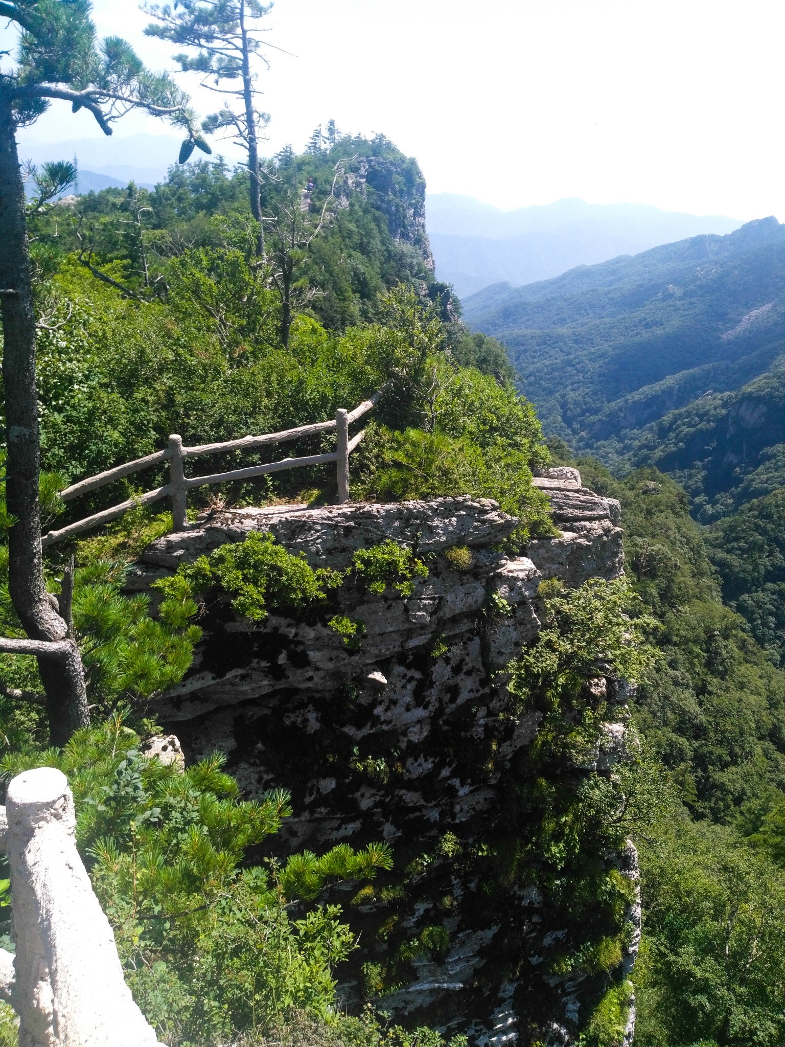 秦岭美景----牛背梁,柞水旅游攻略 - 马蜂窝