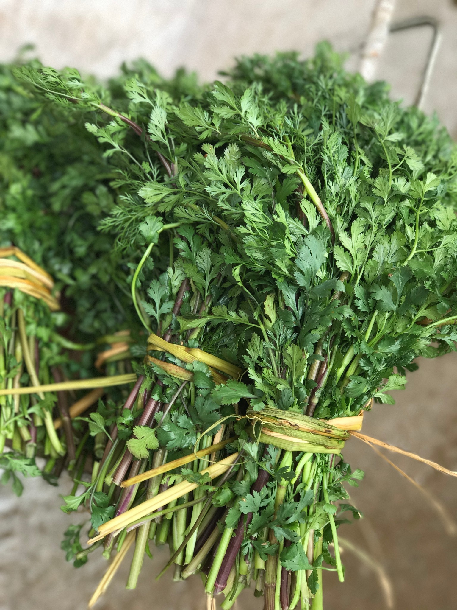 清早逛当地农贸市场,野生香菜