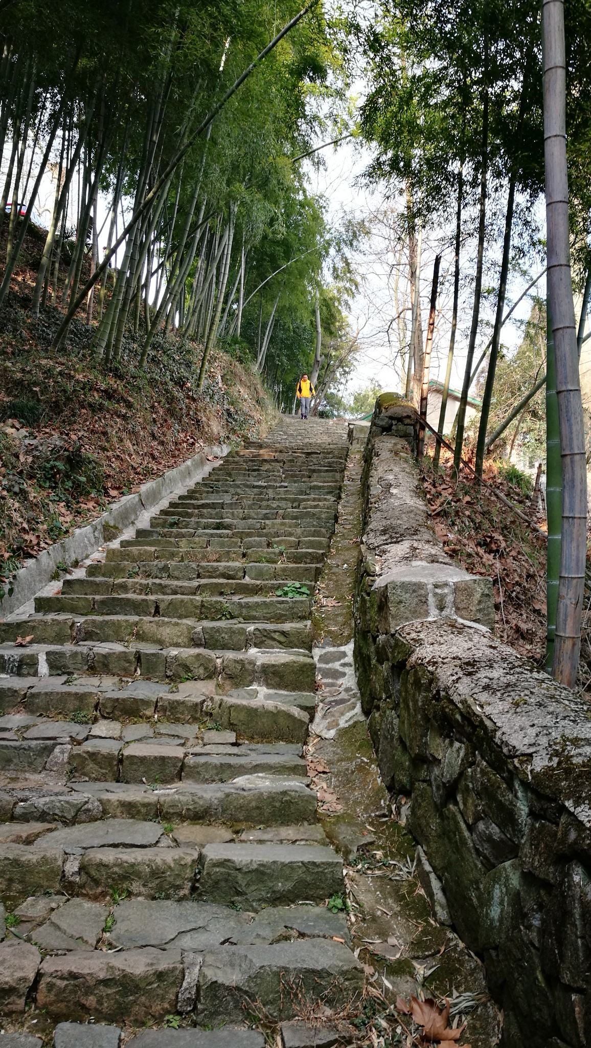 江南第一山之莫干山,德清旅游攻略 - 马蜂窝