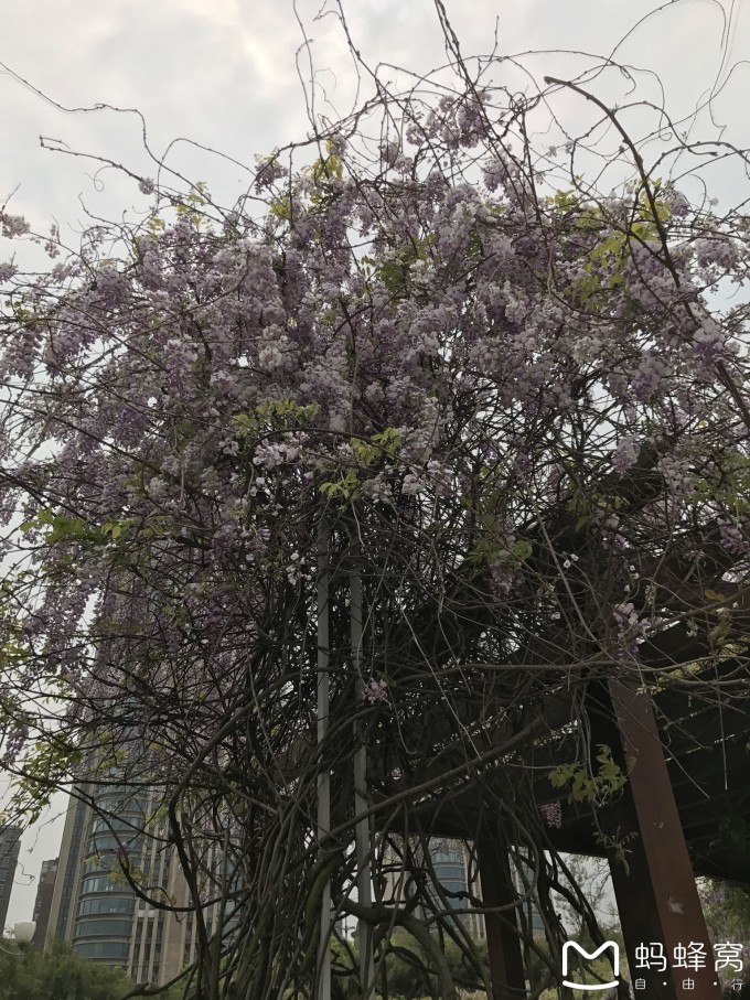 杨巷游玩攻略,杨巷游玩攻略一日游