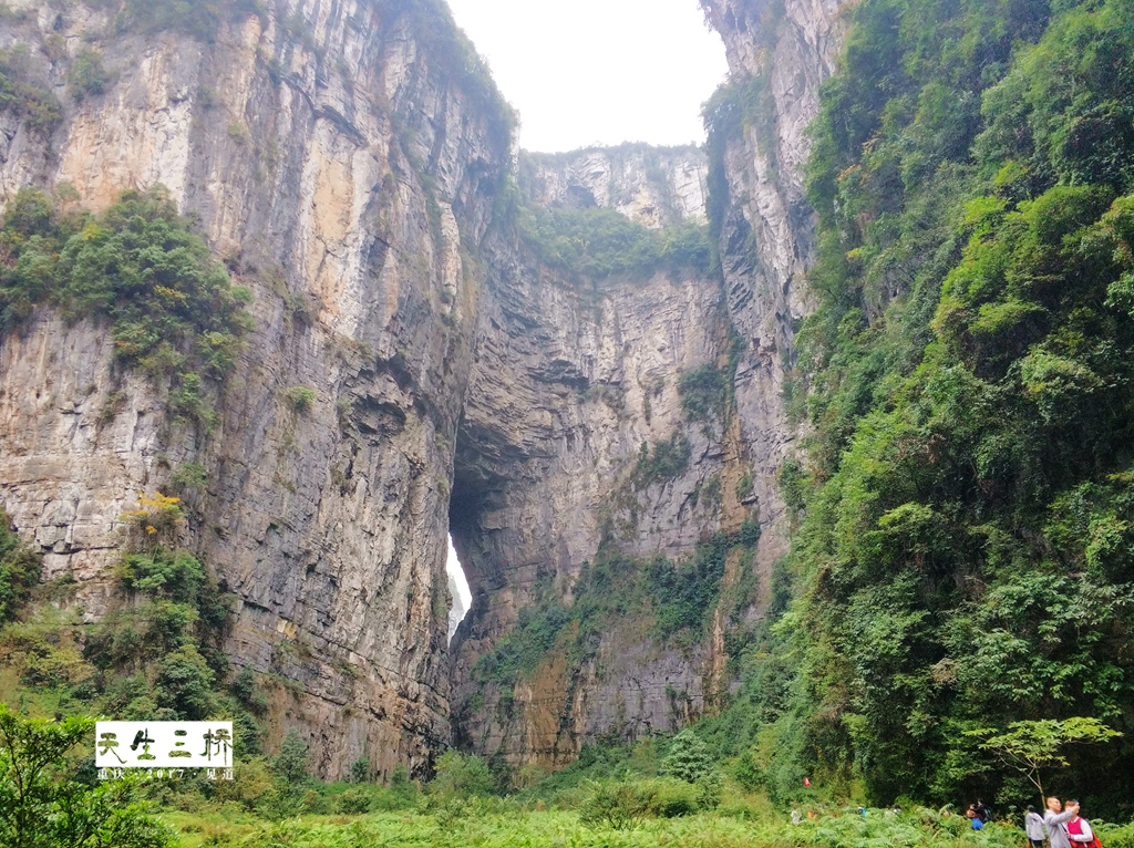 武隆喀斯特,天坑地缝芙蓉洞图片53,重庆旅游景点,风景名胜 马蜂窝