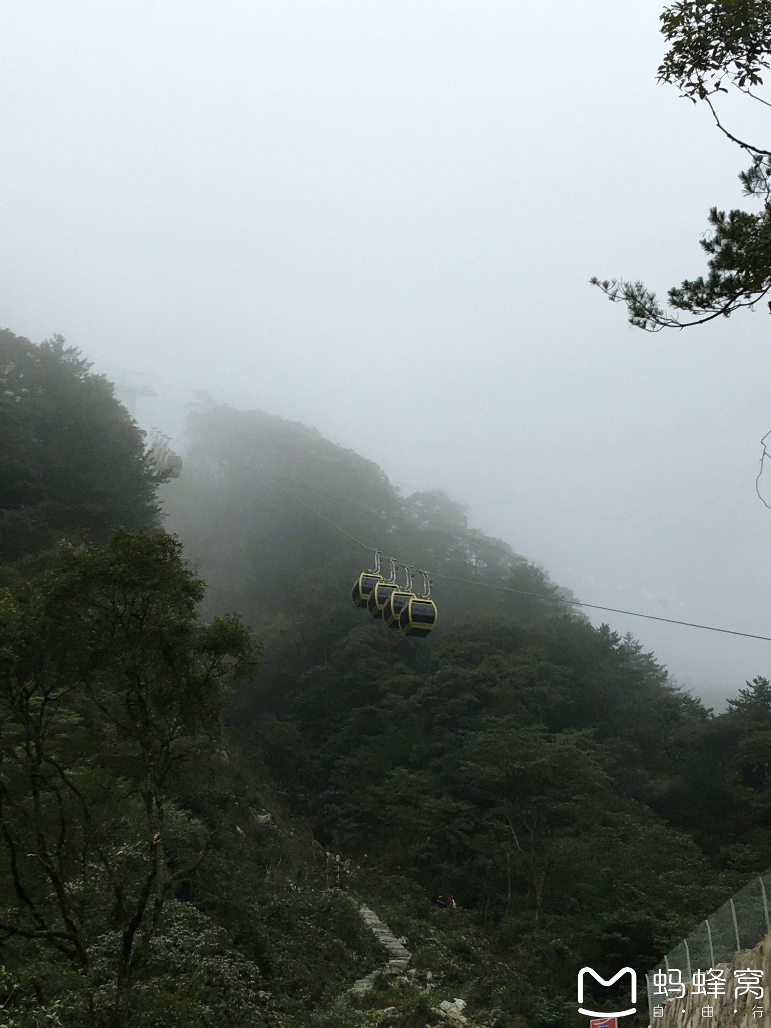 岳西县有多少人口_岳西县地图(3)