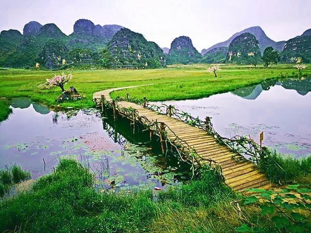 普者黑 天鹅湖 青龙山 菜花箐二日游(高铁专线1.2小时