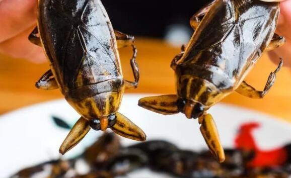 重口味钟村三宝,问你怕未?