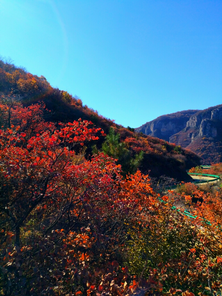 四方山 马蜂窝