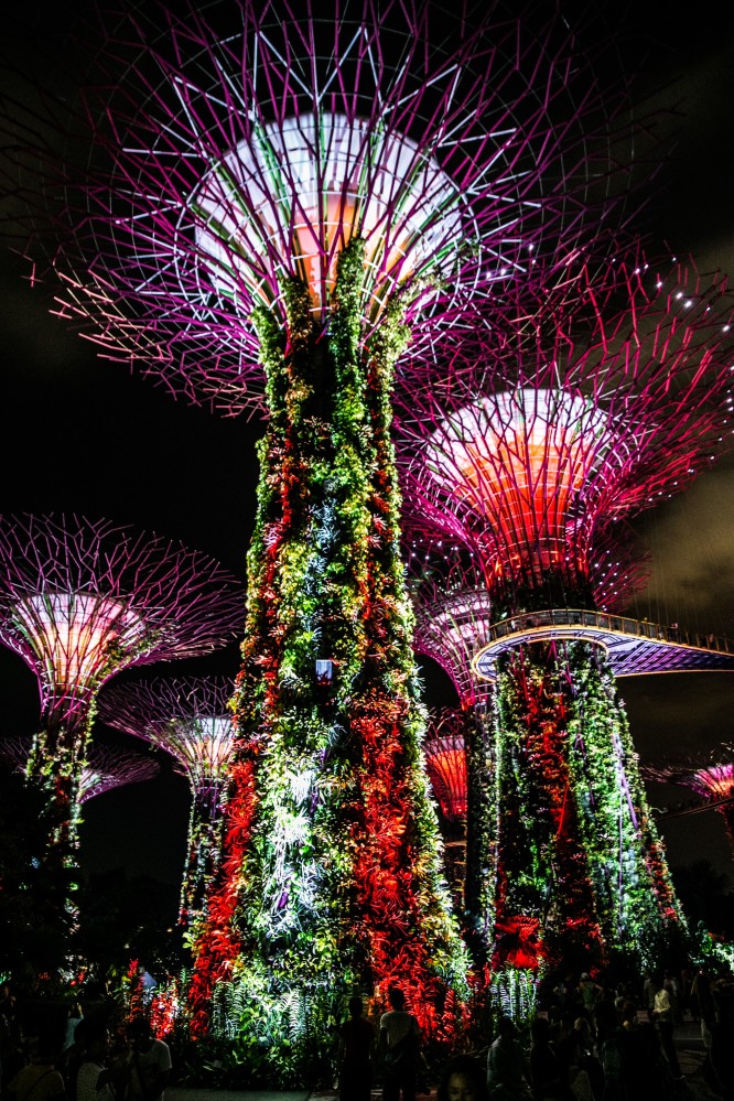 新加坡滨海湾花园什么时间去合适,傍晚去行吗