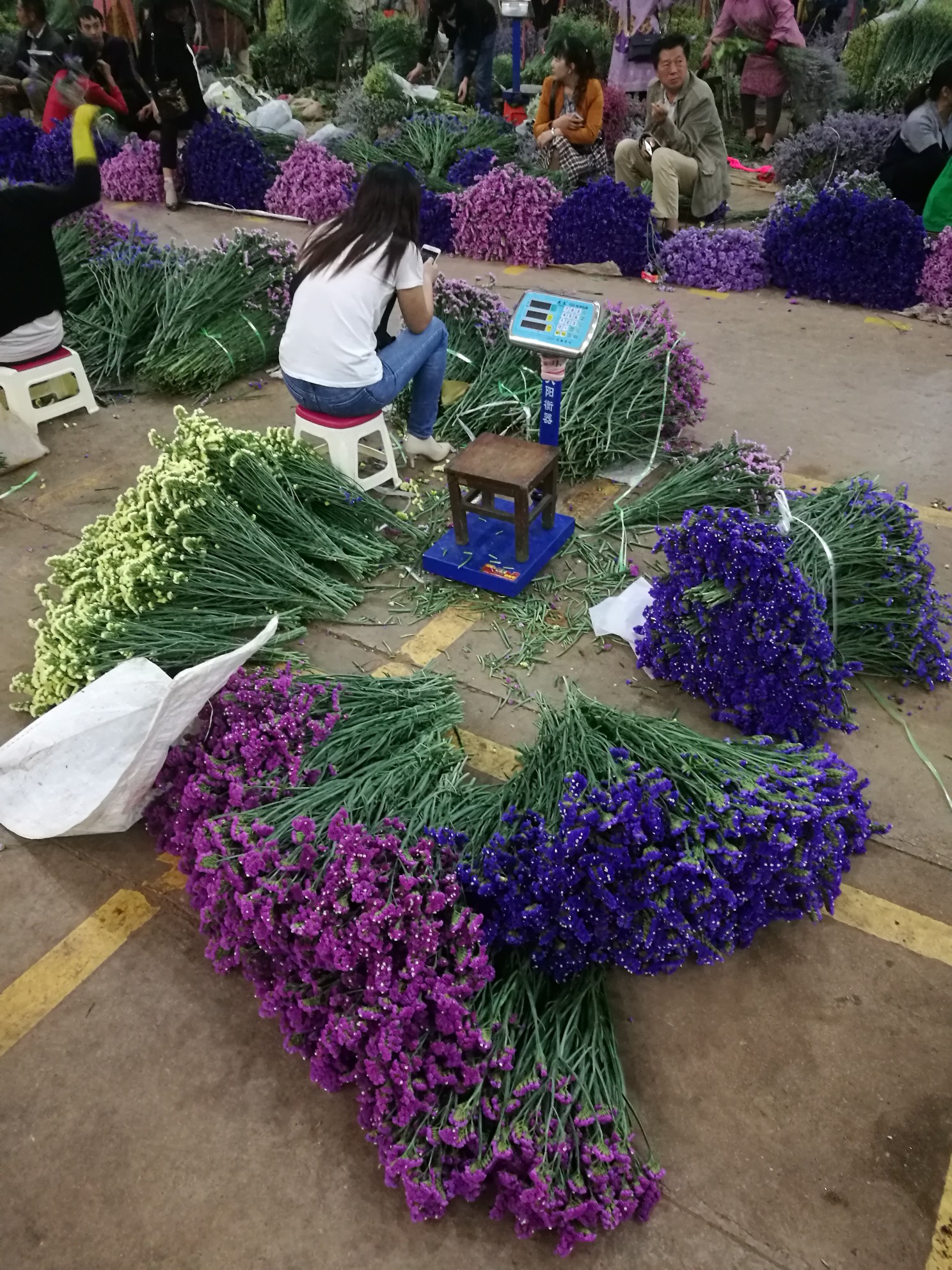 斗南花卉市场        