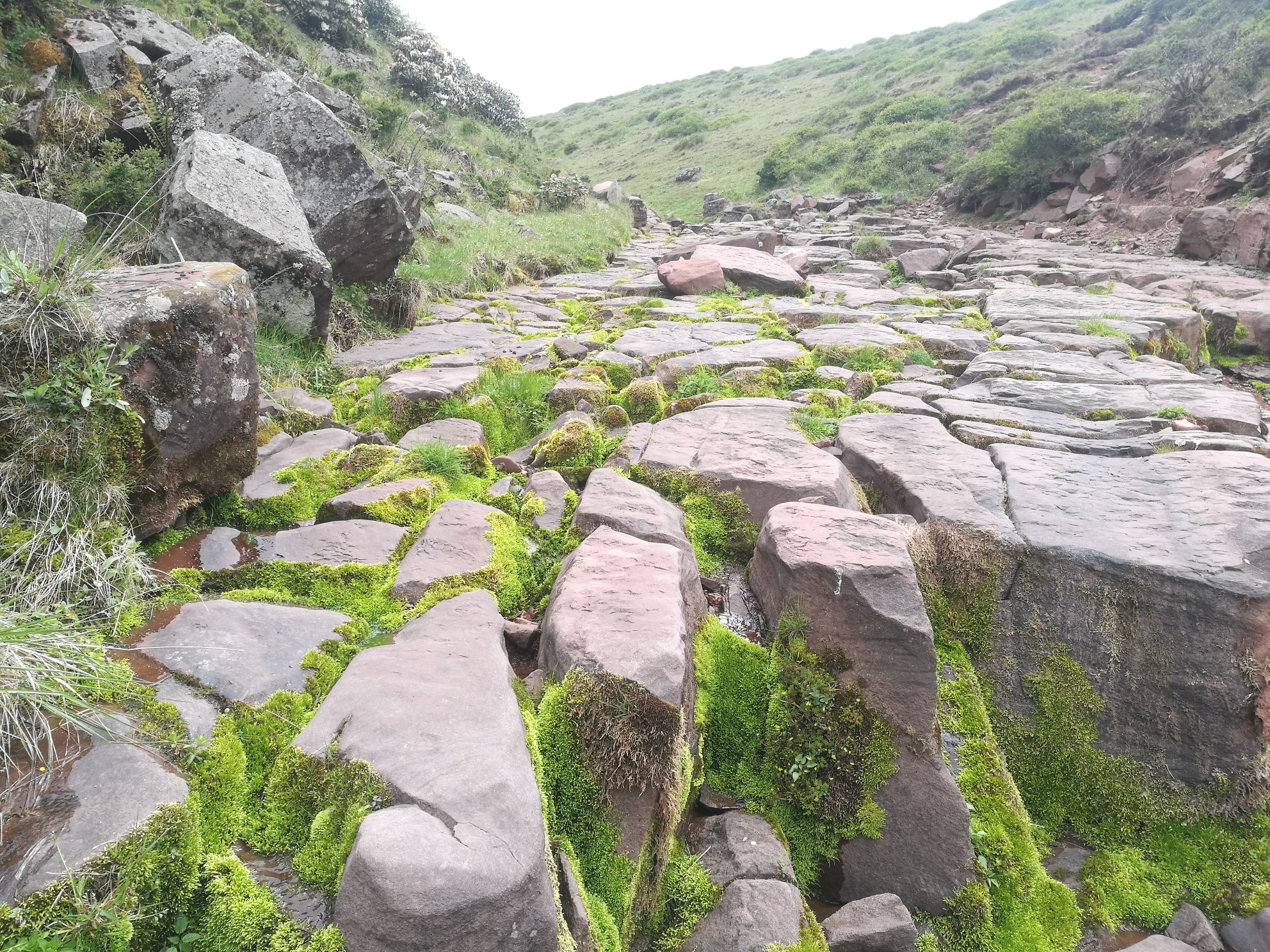 会泽大海草山,曲靖最高峰牯牛寨看日出