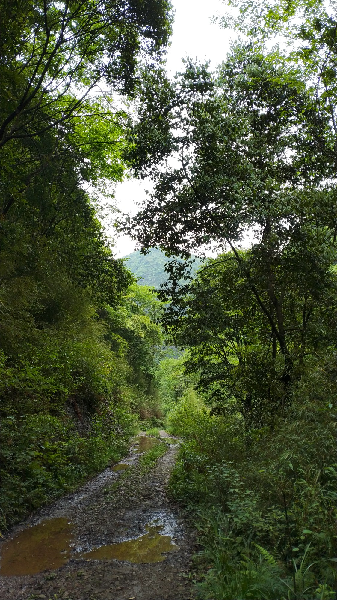 龙里猴子沟