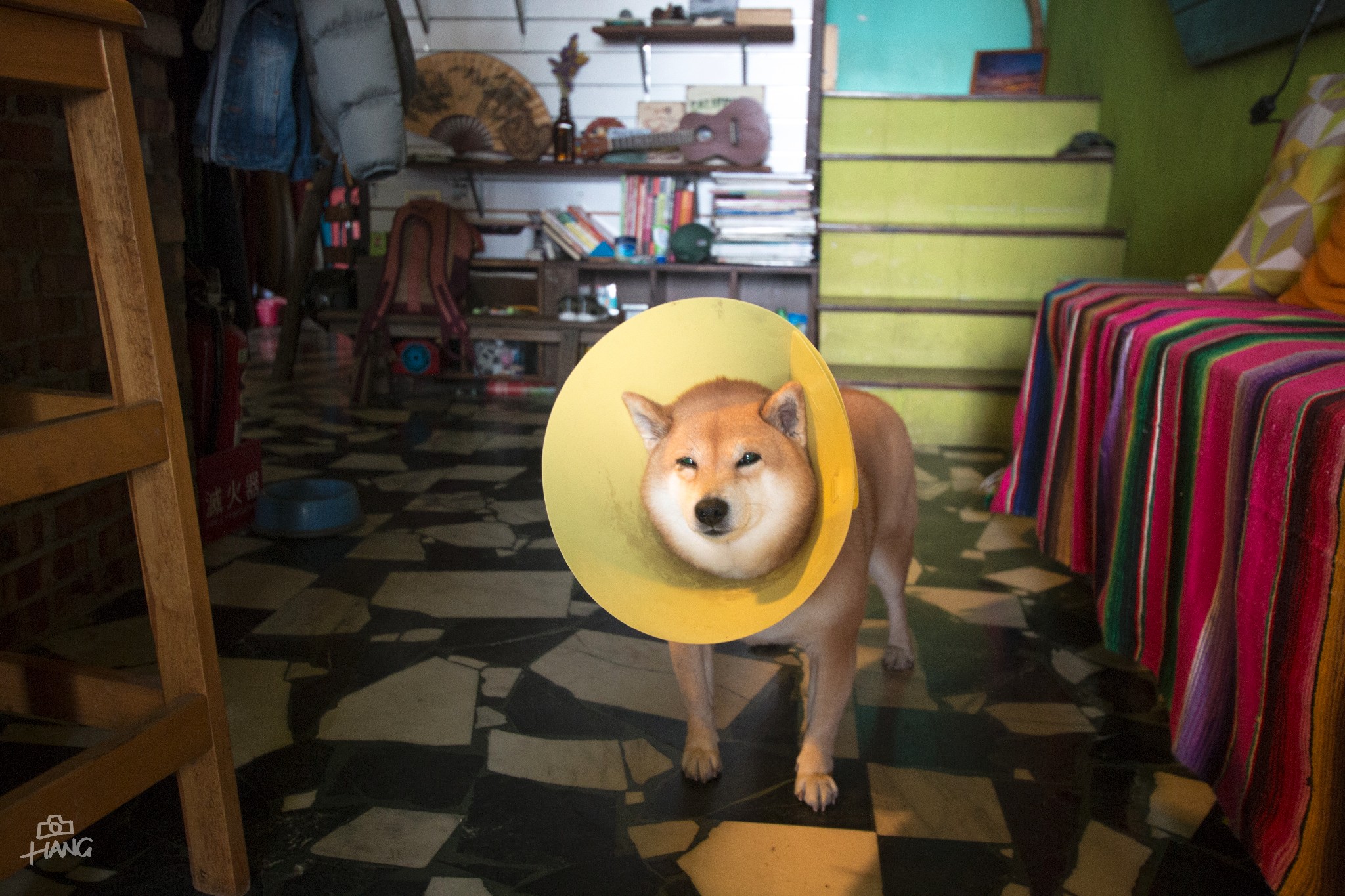 wKgBEFqzjaaAHaCOAArt8dLIV6004.jpeg?imageView2%2F2%2Fw%2F600%2Fh%2F600%2Fq%2F90