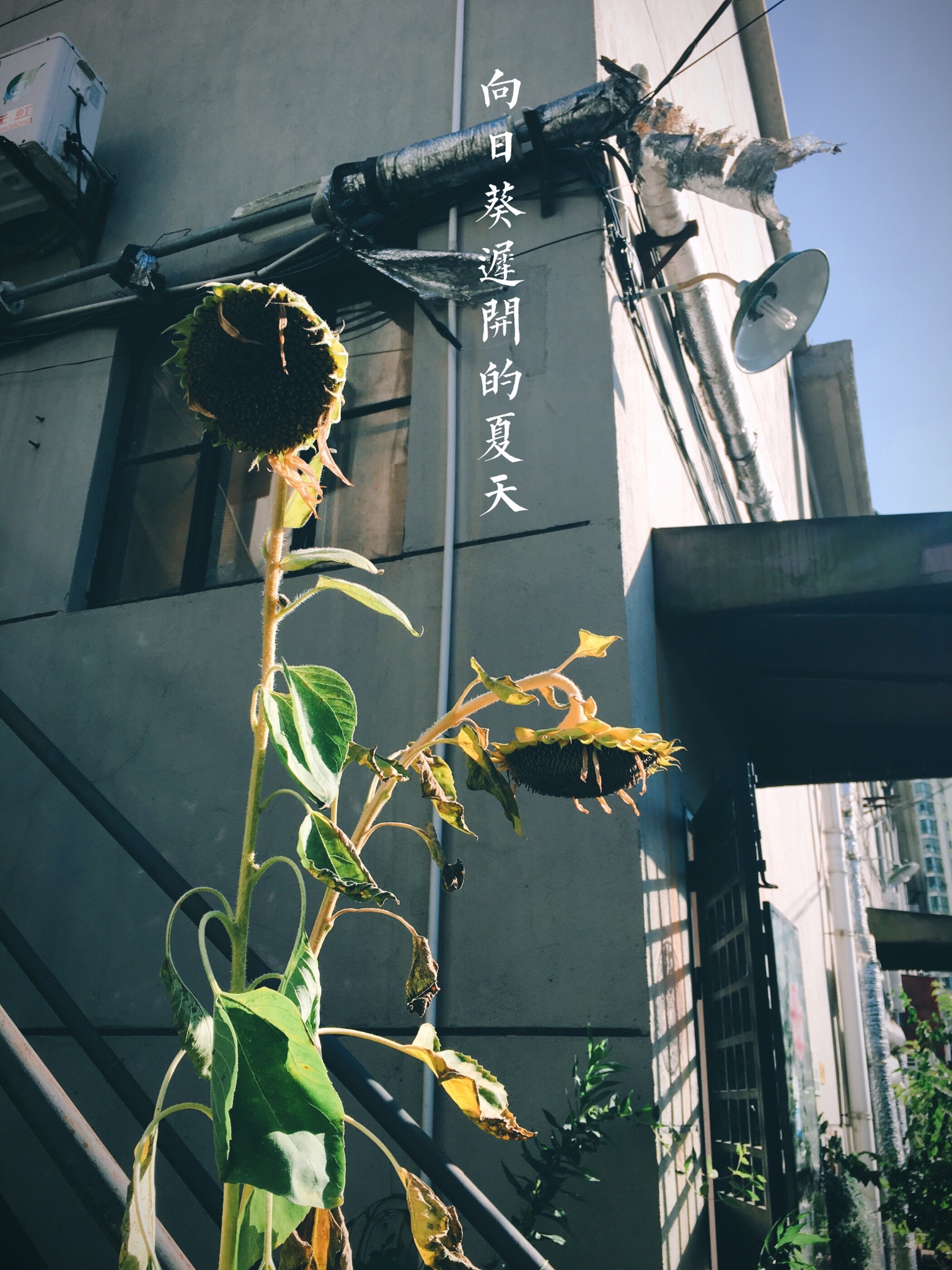 北小宁人口_失眠小宁图片