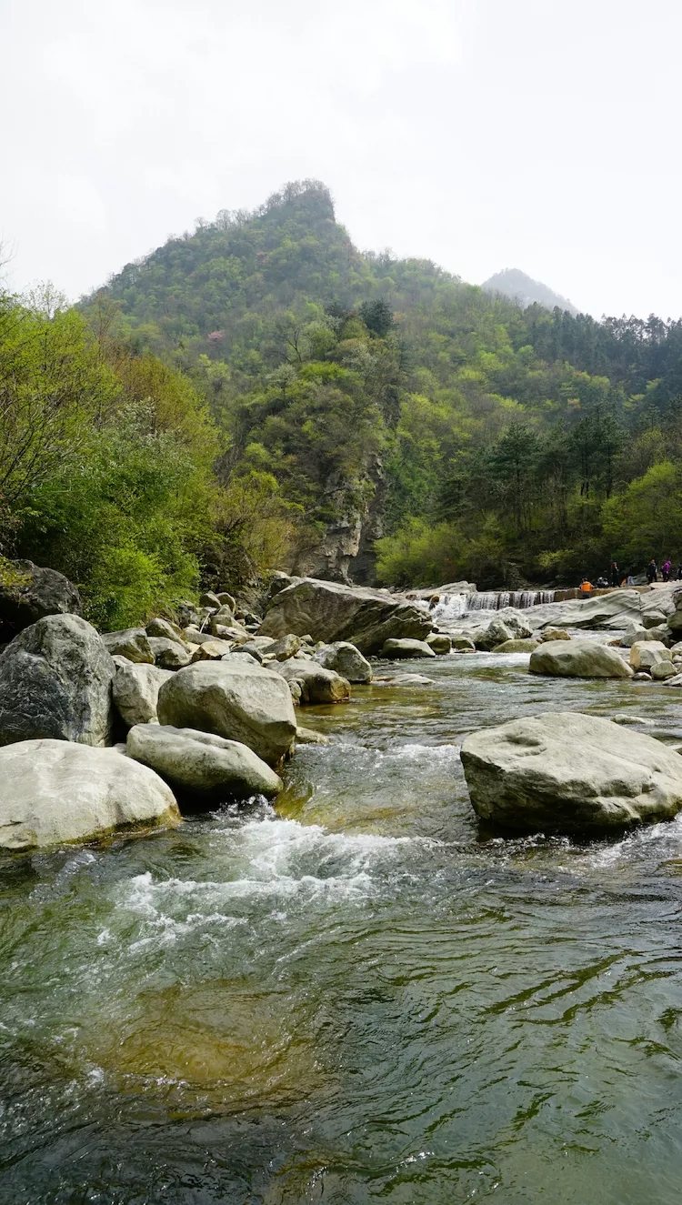 扬州户外徒步——金寨县马鬃岭原始森林