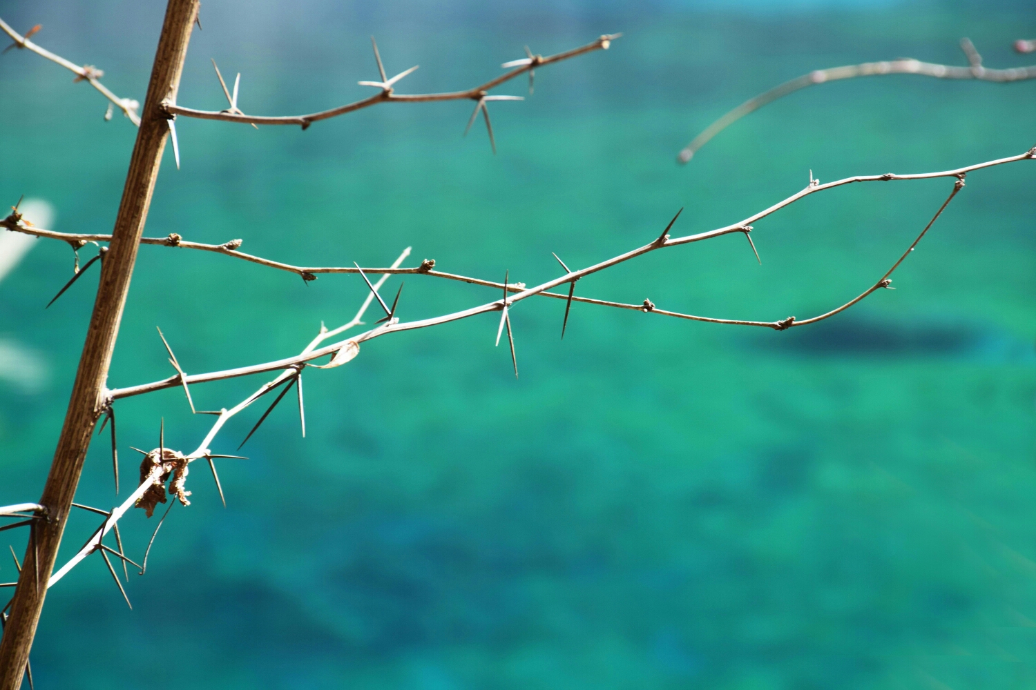 wKgBEFrR9JeANfcTAA5WTQcIpB881.jpeg?imageView2%2F2%2Fw%2F600%2Fh%2F600%2Fq%2F90