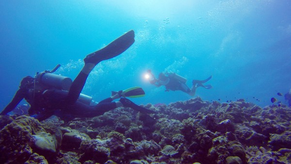 鲨鱼视频播放高清 wKgBEFry3eKACKrsAAlveEMPanw14.jpeg?imageView2%2F2%2Fw%2F600%2Fh%2F600%2Fq%2F90