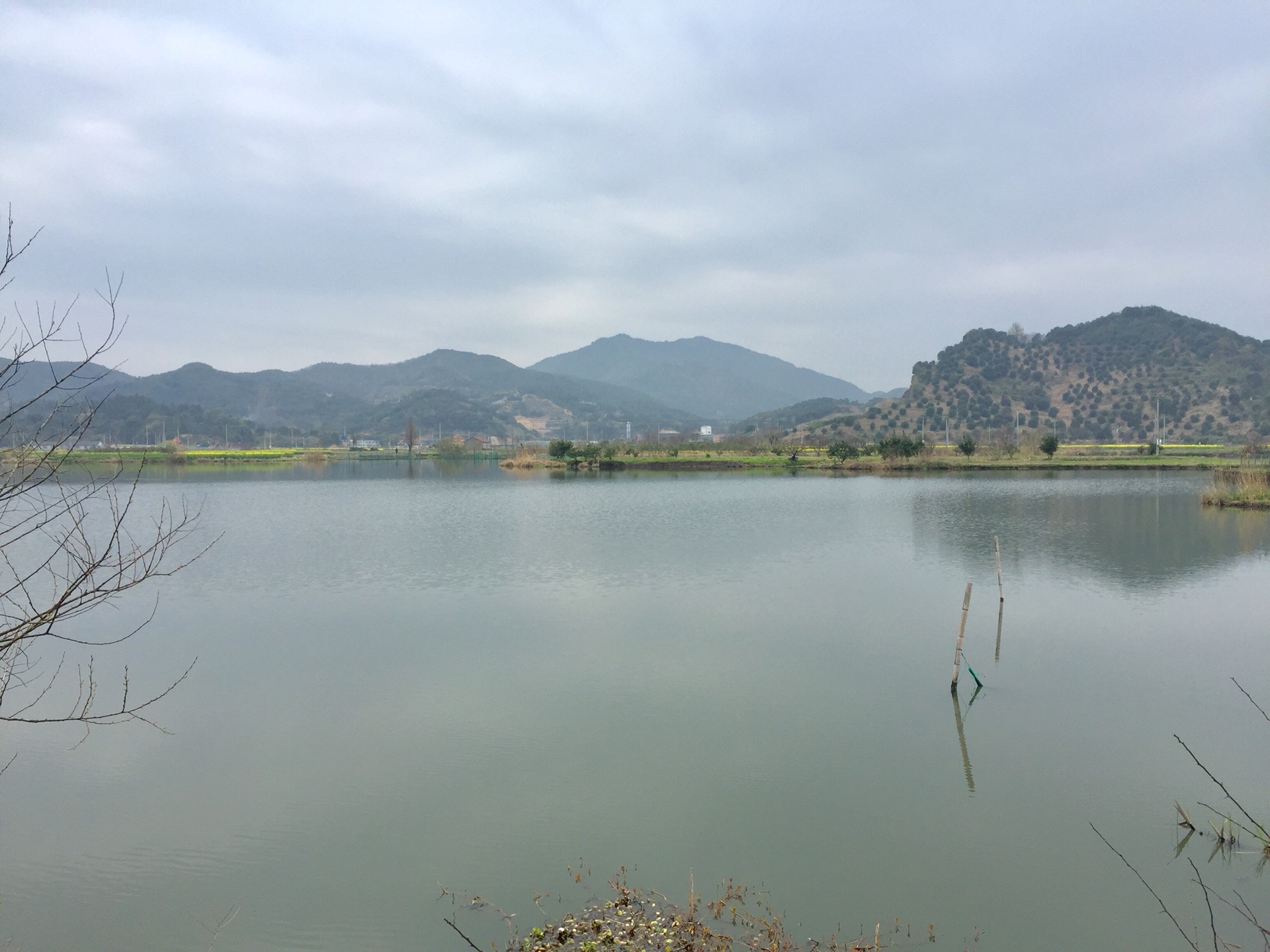 正是春风二月天白马湖,田野,上虞旅游攻略 - 马蜂窝