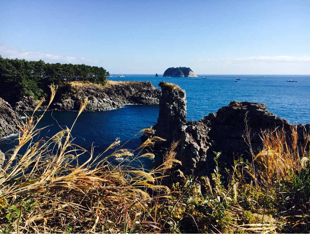 济州岛有多少人口